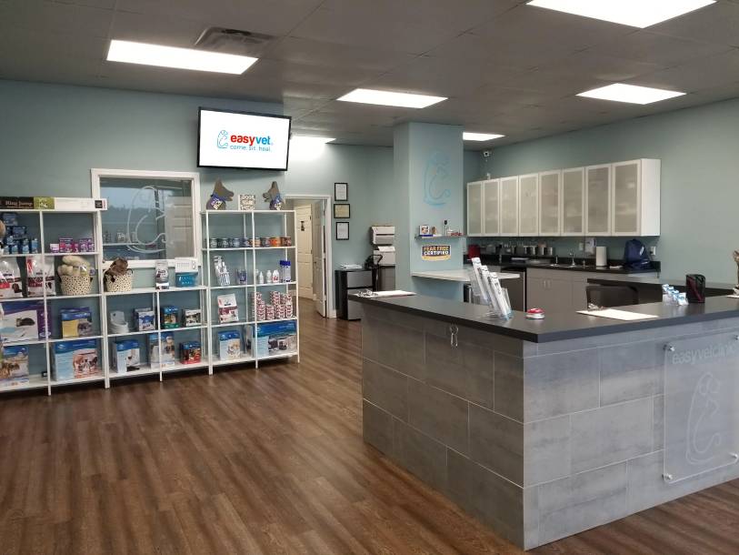 easyvet Allen front desk